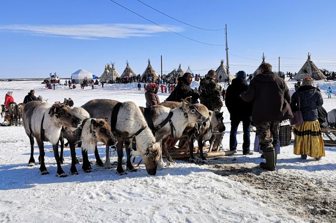 В Салехарде устроят праздничный марафон в День оленевода