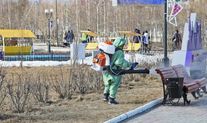 В Муравленко санобработку города будут проводить ежедневно