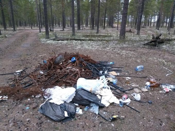 Прокуратура Муравленко обязала Елену Молдован ликвидировать незаконные свалки