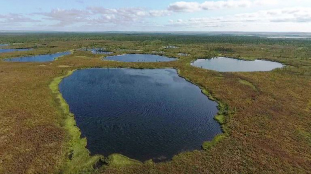Во вторник на Ямале воздух прогреется до +30 градусов