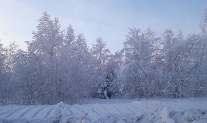 На Ямале ожидается сильный ветер и изморозь
