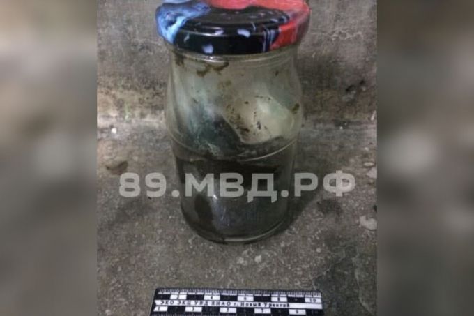 Житель Омска приехал на Ямал поработать и попался на наркотиках