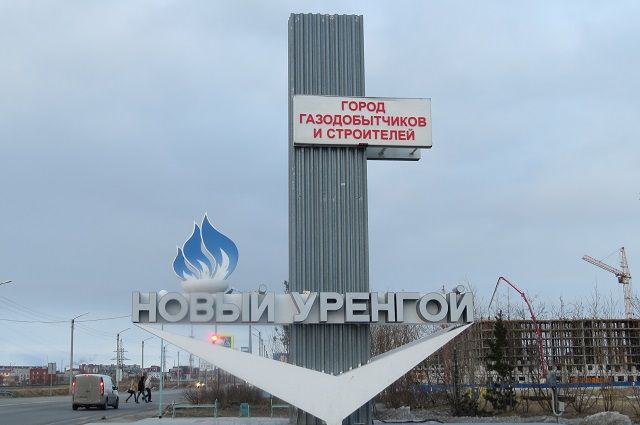 Рядом с Новым Уренгоем обнаружена необычная окаменелость