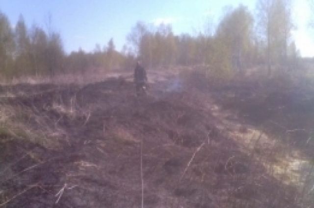 В Пуровском районе украли торф на полмиллиона