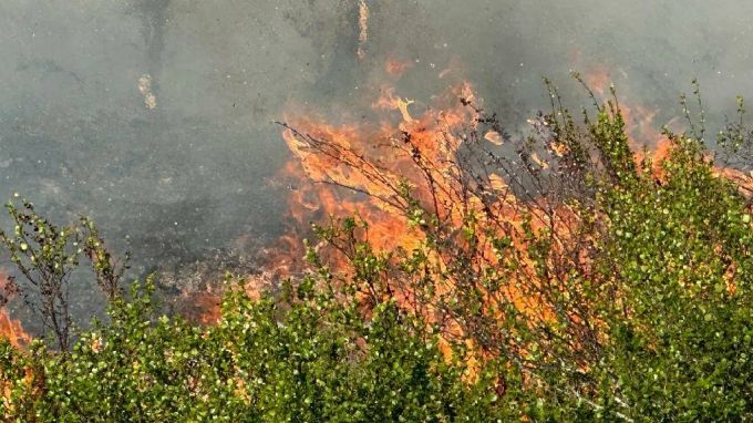 Спасатели Ямала борются с семью лесными пожарами