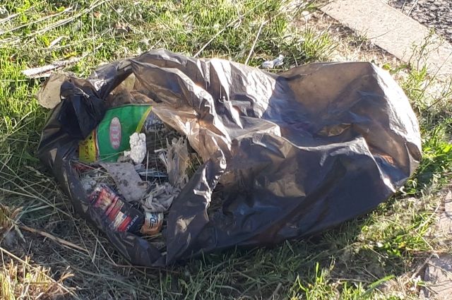 Жителя Ямала повергла в шок свалка в лесу