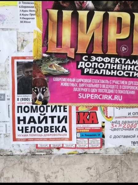 Ориентировки на пропавшего вахтовика заклеили рекламой цирка в Новом Уренгое. 