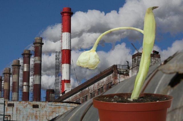 В Уренгое обнаружили факт загрязнения нефтепродуктами