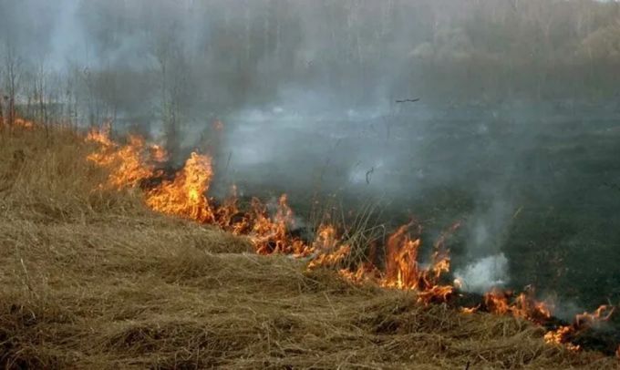 МЧС убедительно просит ямальцев не жечь траву и мусор