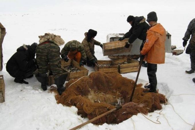 Рыбаки из Нового Порта застряли на Оби в ожидании ряпушки