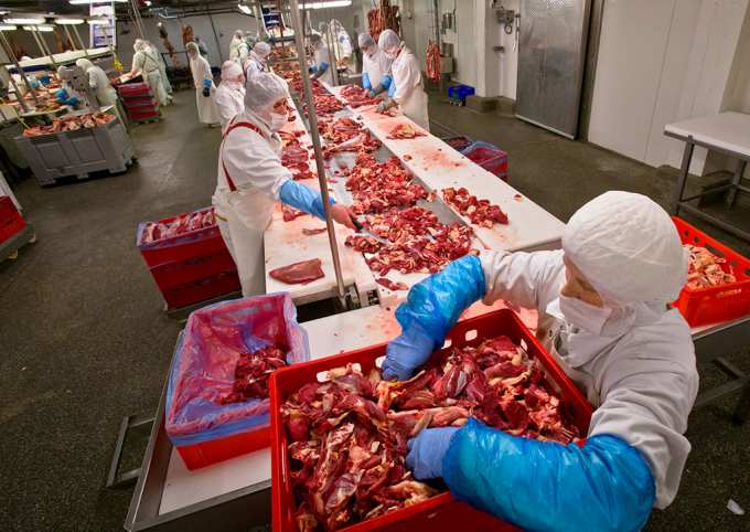 Цены животного происхождения: мясо и молоко могут подорожать на 12%