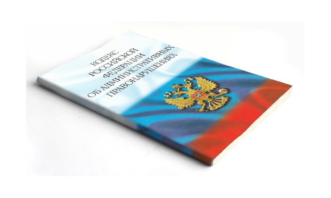 Жителя Ноябрьска оштрафуют за расправу с голубями 