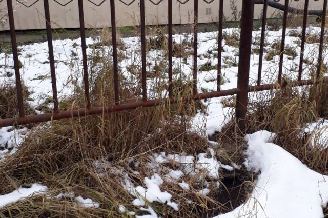 За разлив септика на кладбище Ямала предпринимателя накажут штрафом