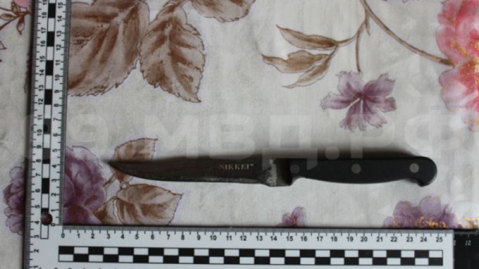 В Тарко-Сале ссора пьяных друзей закончилась поножовщиной