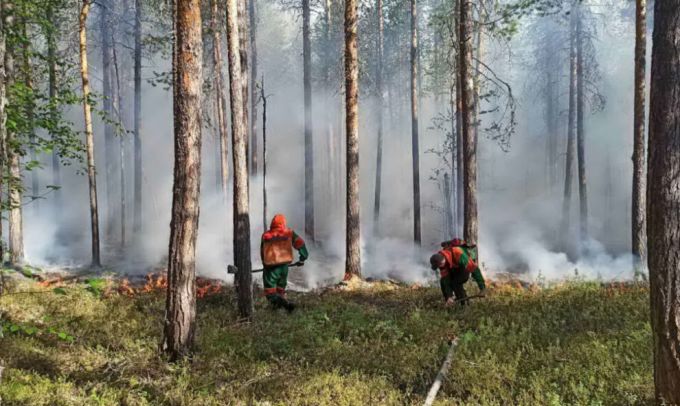 В ЯНАО отменен режим ЧС, ситуация с пожарами взята под контроль