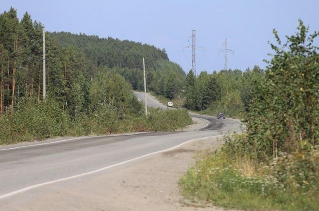В Надымском районе найдено тело мужчины, погрызенное животными