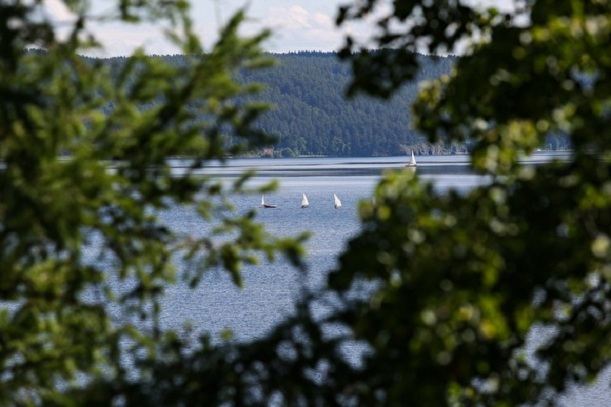 В Новом Уренгое во время купания в заболоченном водоеме погиб гражданин Беларуси