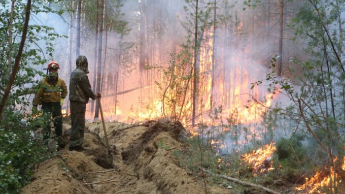 Ямальские спасатели отправились на тушение лесных пожаров в Курганской области
