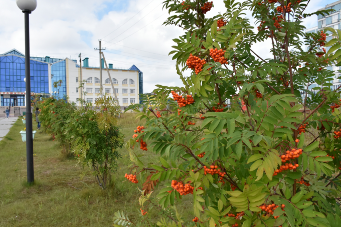 Каким будет 1 сентября