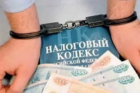 В Лабытнанги директор скрыла от налоговиков 11 миллионов рублей