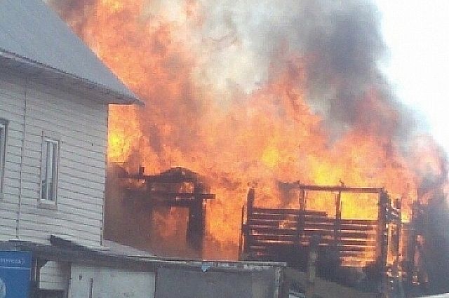 В выходные на Ямале произошло десять пожаров