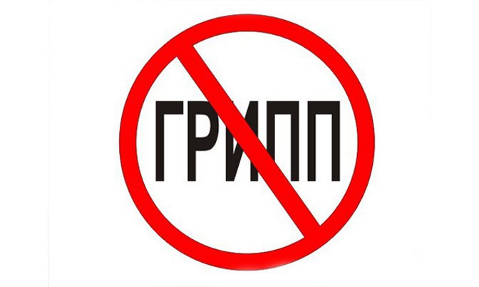 На Россию идут новые вирусы гриппа.