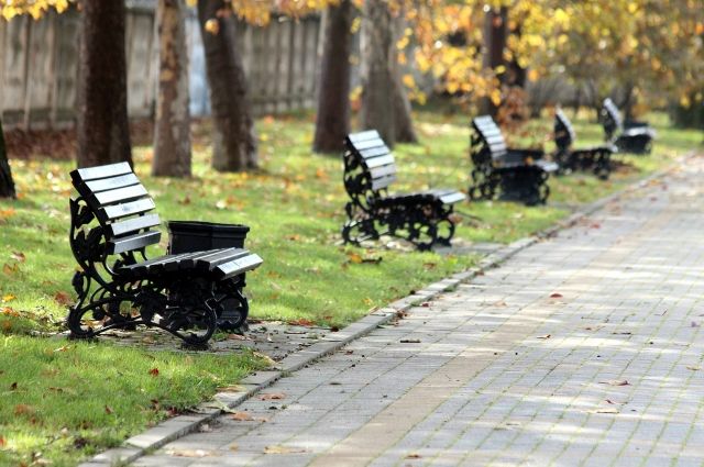 В Тарко-Сале полиция устанавливает личности хулиганов, громивших парк