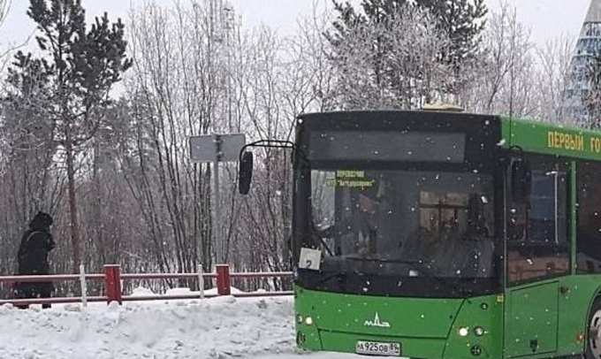 Билеты на автобус между Губкинским и Пурпе подешевели в два раза