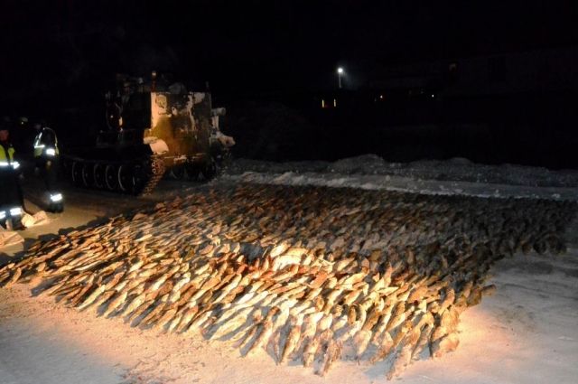 В Ямальском районе нашли тайное хранилище с муксуном