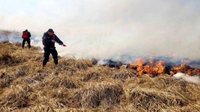 Ямальские спасатели сообщили о новых лесных пожарах