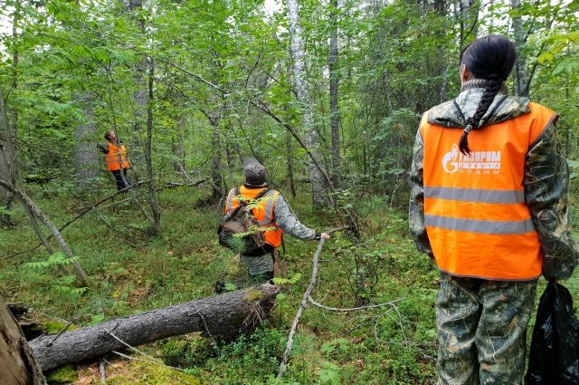 На Ямале ищут троих: поисковики отряда «Лиза Алерт» просят о помощи