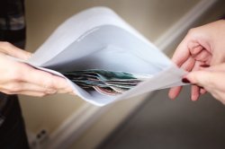 Водитель из Ямало-Ненецкого автономного округа пытался подкупить воронежского инспектора