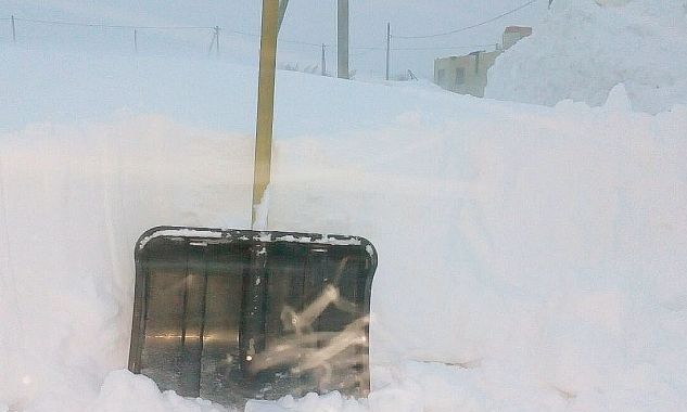 Ямальский участковый заморозил насмерть дебошира и закопал труп в снегу
