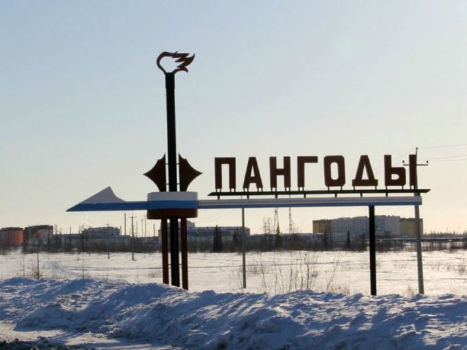 В Надымском районе введён карантин из-за случая бешенства у собаки