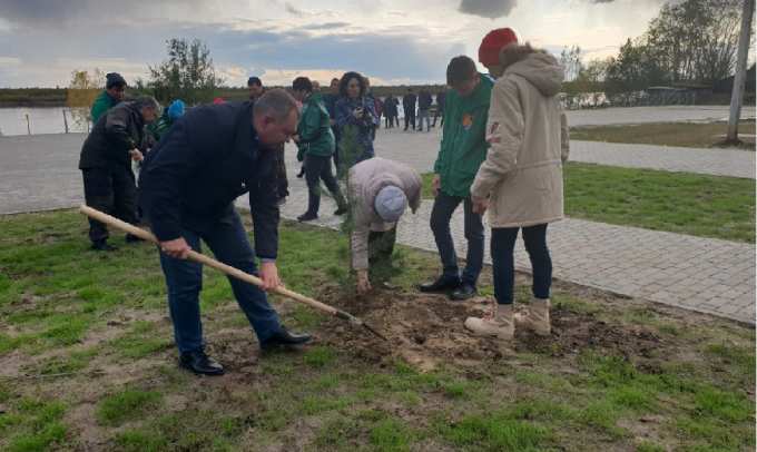 Улицы ямальских городов и сёл раскрасят яркими красками рябины