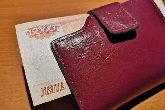 В Совете Федерации рассказали подробности о новых выплатах на детей
