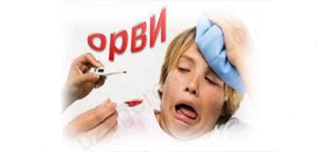 На Ямале превышен эпидпорог по ОРВИ. Закрываются школы