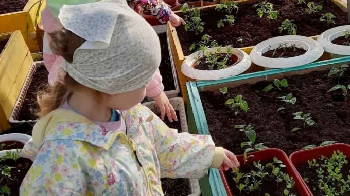 В Муравленко детсадовцы-огородники показали урожай на городском конкурсе