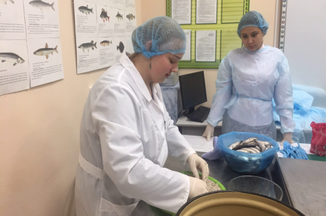 Ямальские школьники приняли участие в профессиональных пробах