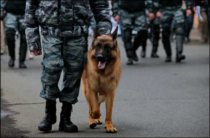 В Салехарде ищут взрывные устройства в «заминированных» зданиях