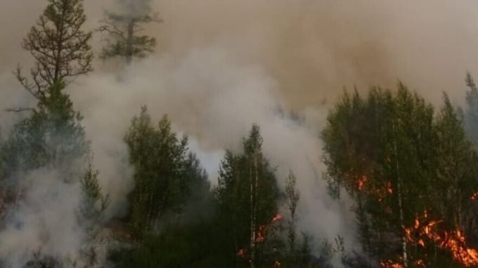 На Ямале огонь охватил 16 гектаров леса: пожар удалось локализовать