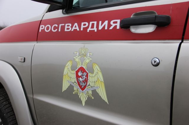В Новом Уренгое ФСБ и Росгвардия задержали мужчину с партией наркотиков