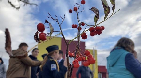 В Тарко-Сале посадили «Сад памяти»