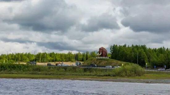 Держитесь крепче: МЧС по ЯНАО предупреждает о шквалистом ветре