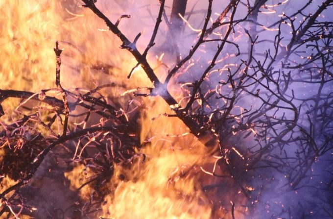 В ЯНАО вводится пожароопасный сезон. Тюменская область уже в огне