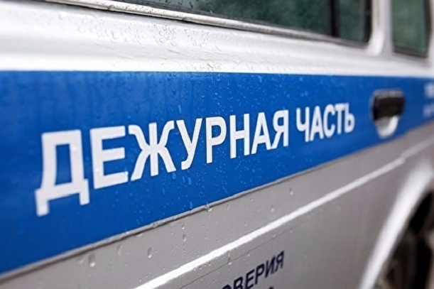 Жительницу Нового Уренгоя задержали в Петербурге за звонок о ложном минировании