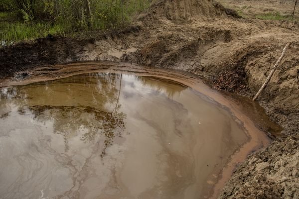 «Реском-Тюмень» выплатит 300 тысяч за загрязнение лесов Ямала