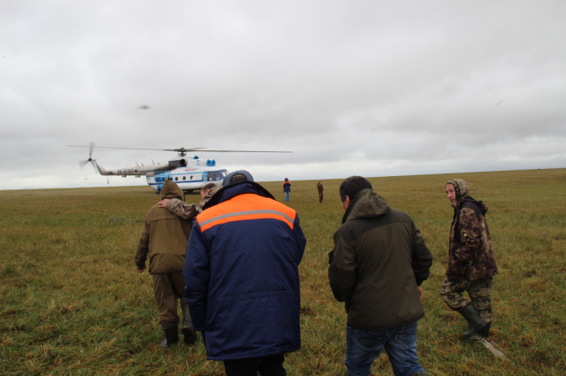 На Ямале продолжаются поиски пропавшей в Гыданской тундре девочки