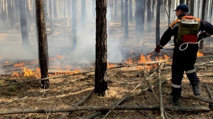 На Ямале в этом году еще не было возгораний в лесах
