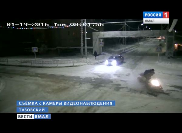 Эксклюзив! На Ямале похитителей рогов сняли на видеокамеру